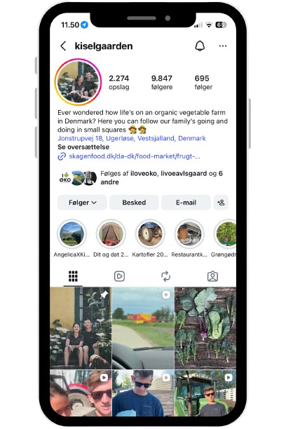 Kiselgården, kiselgården sociale medier, kiselgården instagram